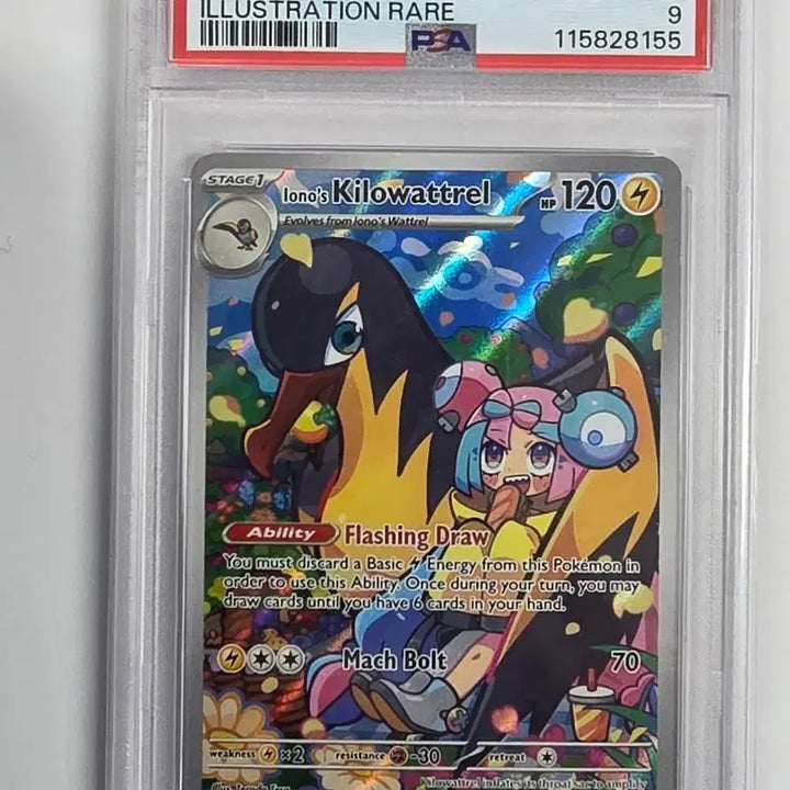 [BUNJANG] Pokemon Card Moyeamo&