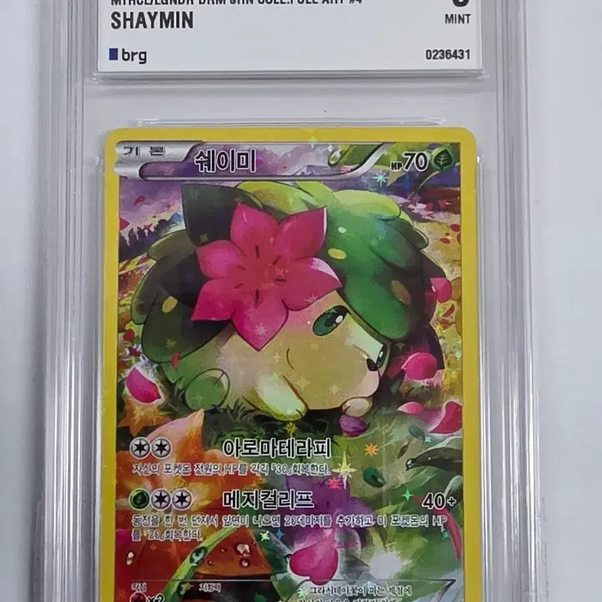 [BUNJANG] Pokemon Card Radiant Collection Shaymin Full Art CP5 / 포켓몬 카드 환상전설 쉐이미 풀아트 CP5 (brg 9)