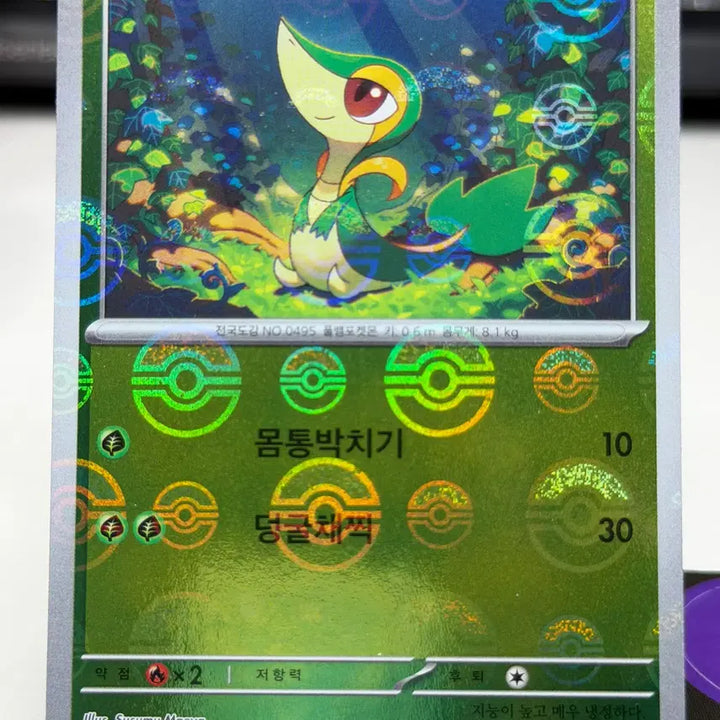[BUNJANG] Juribiyan SV11B 001/086 Monster Ball Holo / 주리비얀 sv11B 001/086 몬스터볼 홀로그램