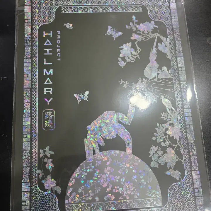 [BUNJANG] Hail Mary Mother of Pearl Poster / 프로젝트 헤일메리 로키 자개 포스터