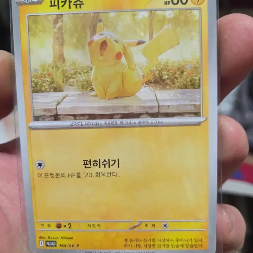 [BUNJANG] Pokemon TCG Cards / 포켓몬카드 판매합니다.