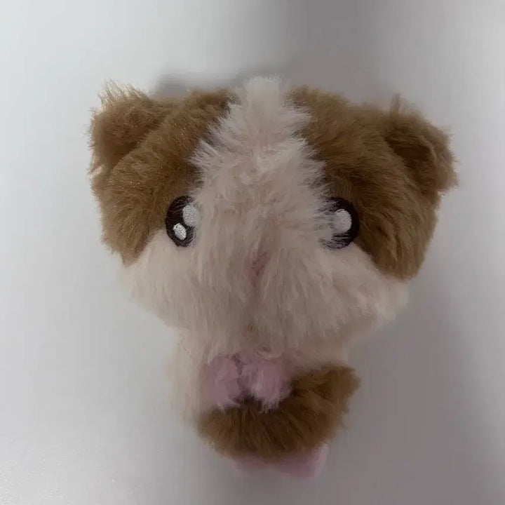 [BUNJANG] ENHYPEN Harua Long-neck Plush Doll / 앤팀 하루아 룽기니 인형