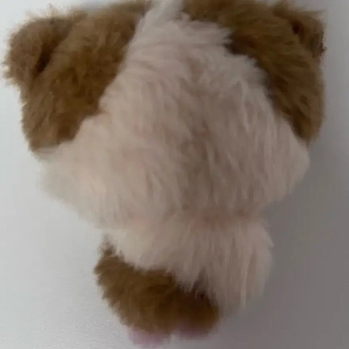 [BUNJANG] ENHYPEN Harua Long-neck Plush Doll / 앤팀 하루아 룽기니 인형