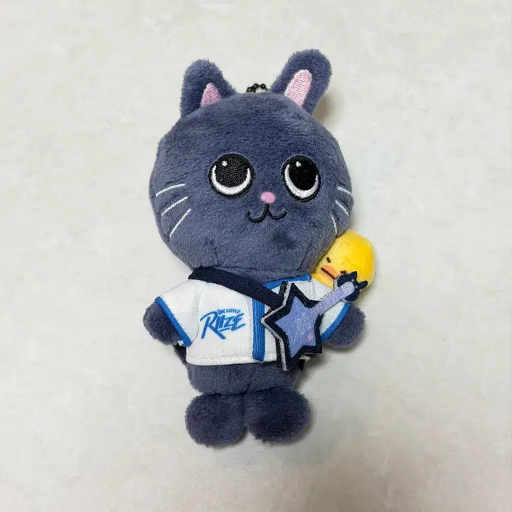 [BUNJANG] RIIZE Wonbin Toynduck Lilaz 10cm Plush / 라이즈 원빈 토냥덕 리라즈 10cm