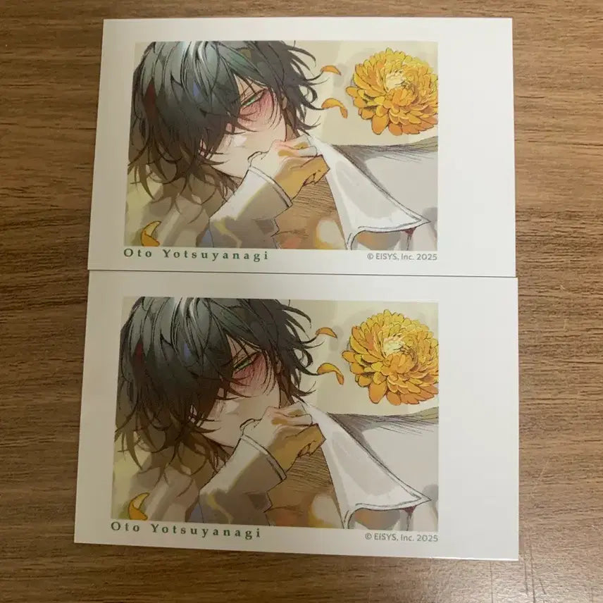 [BUNJANG] Dlsite Garumani Original Yotsuyanagi Oto Cheki Bundle Set / Dlsite 디엘사이트 가루마니오리지널 요츠야나기 오토 체키 일괄