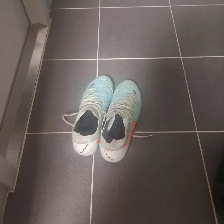 [BUNJANG] Nike Phantom GX 2 FG Soccer Cleats (Size 270) / 나이키 팬텀 gx 2 fg 270 민트 축구화 판매,교환