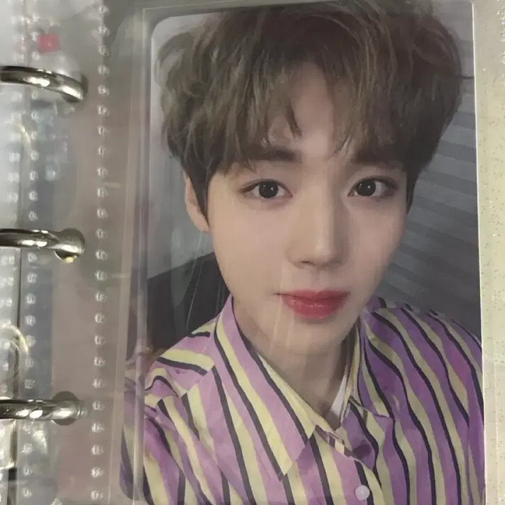 [BUNJANG] Park Ji Hoon Goods Bundle Set / 박지훈 굿즈 팝니당