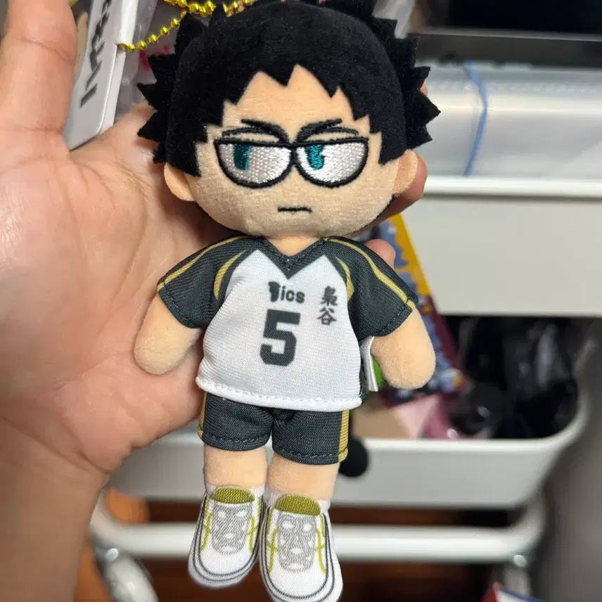 [BUNJANG] Haikyuu!! Akaashi Keiji Jirori Plush Doll / 하이큐 아카아시 케이지 지로리 봉제인형