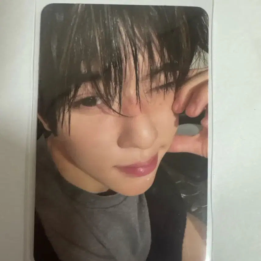 [BUNJANG] NCT WISH Sion Photocard / 시온포카