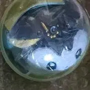 [BUNJANG] Emolga Pokemon Metamon Playground Chalsak Magnet Mascot / 에몽가 성수 메타몽 놀이터 포켓몬 포레스트 찰싹 마그넷 마스코트 판매