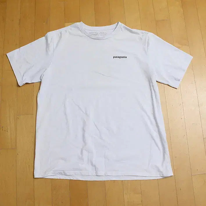 [BUNJANG] Patagonia T-shirt L / 파타고니아 반팔티 L  //TSS_3726/
