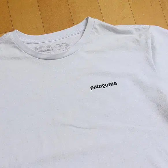 [BUNJANG] Patagonia T-shirt L / 파타고니아 반팔티 L  //TSS_3726/