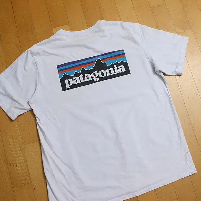[BUNJANG] Patagonia T-shirt L / 파타고니아 반팔티 L  //TSS_3726/