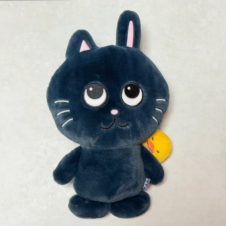 [BUNJANG] RIIZE Wonbin Dollingduck 40cm Plush / 라이즈 원빈 토냥덕 40cm