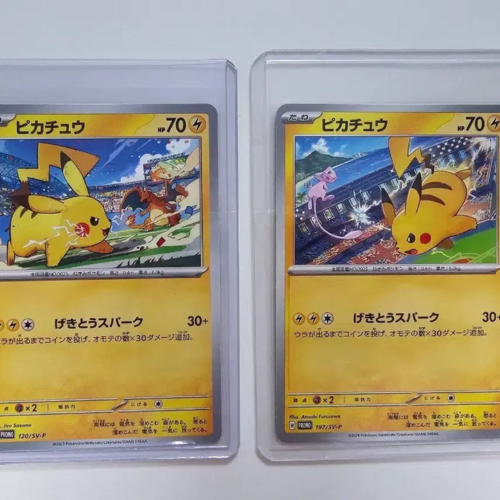 [BUNJANG] Pokemon Card Gym Promo Pikachu &amp; Charizard / Mew Set (Single) / [포켓몬카드] 짐프로모 피카츄 뮤&amp;리자몽 세트 (싱글)