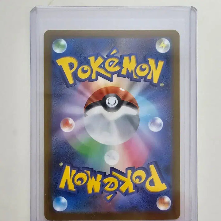 [BUNJANG] 2023 Gym Promo Pikachu &amp; Charizard Single Card (Japanese) / [포켓몬카드] 2023 짐프로모 피카츄&amp;리자몽 싱글카드 (일판)