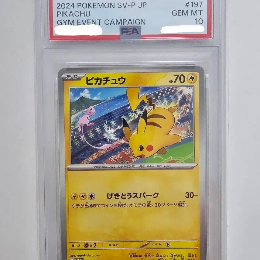 [BUNJANG] 2024 Gym Promo Pikachu &amp; Mew PSA 10 (Japanese) / [포켓몬카드] 2024 짐프로모 피카츄&amp;뮤 PSA10 (일판)