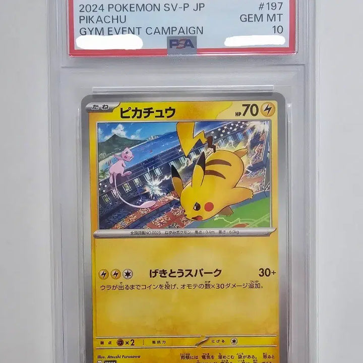 [BUNJANG] 2024 Gym Promo Pikachu &amp; Mew PSA 10 (Japanese) / [포켓몬카드] 2024 짐프로모 피카츄&amp;뮤 PSA10 (일판)