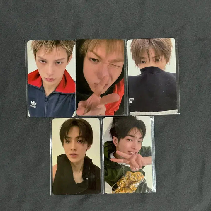 [BUNJANG] Cortis Green Green Lucky Draw Photocard / 코르티스 그린그린 럭드 양도