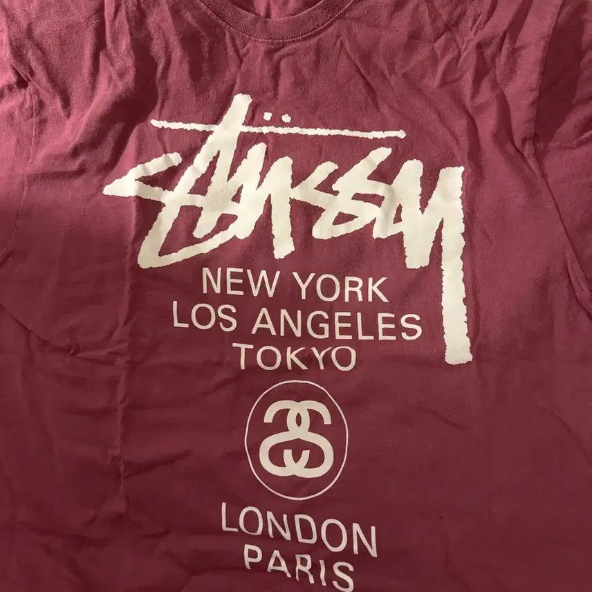 [BUNJANG] Stussy World Tour T-Shirt Berry L / 스투시 월드투어 티셔츠 베리 L