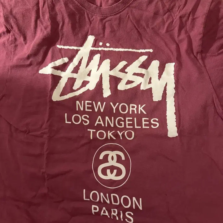 [BUNJANG] Stussy World Tour T-Shirt Berry L / 스투시 월드투어 티셔츠 베리 L