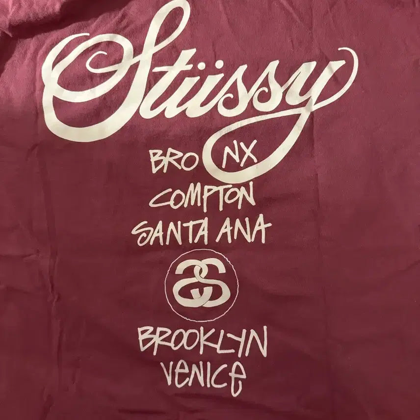 [BUNJANG] Stussy World Tour T-Shirt Berry L / 스투시 월드투어 티셔츠 베리 L