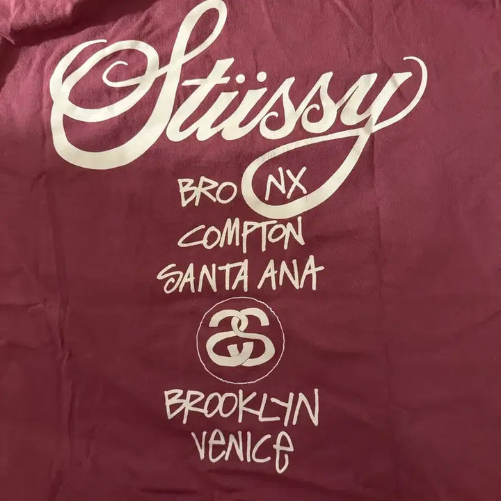 [BUNJANG] Stussy World Tour T-Shirt Berry L / 스투시 월드투어 티셔츠 베리 L