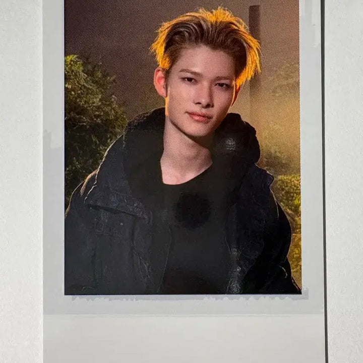 [BUNJANG] ENHYPEN Niki Blood Type: ENGENE ZONE Lucky Draw Polaroid Photocard / 엔하이픈 니키 블러드 사가 blood saga 엔진존 스페셜 럭드