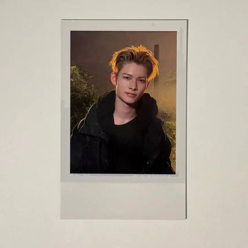 [BUNJANG] ENHYPEN Niki Blood Type: ENGENE ZONE Lucky Draw Polaroid Photocard / 엔하이픈 니키 블러드 사가 blood saga 엔진존 스페셜 럭드