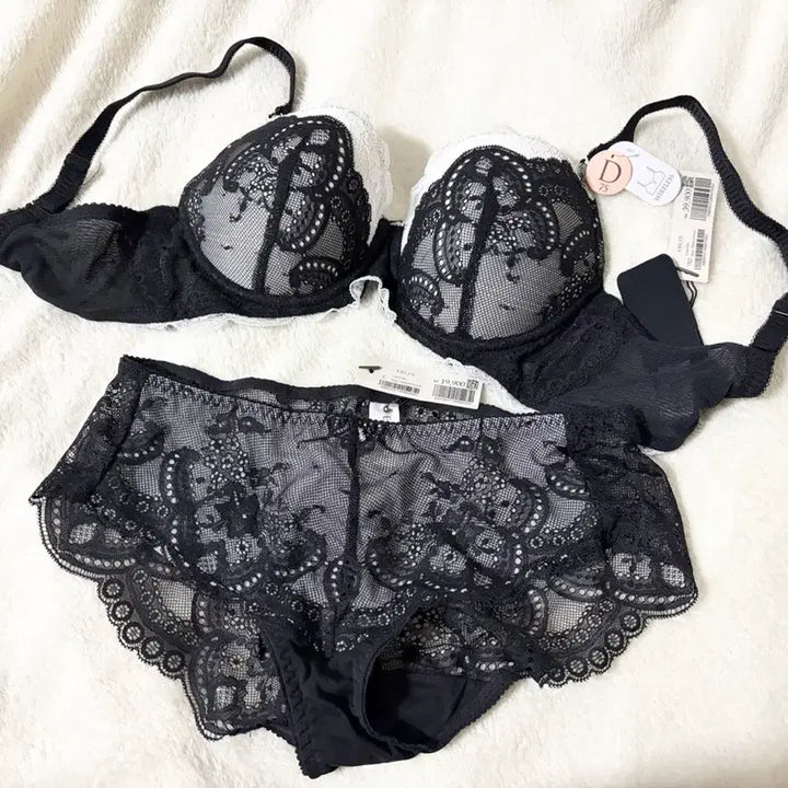 [BUNJANG] Eblin Bra and Panty Set / 에블린 브라 팬티 세트 새상품