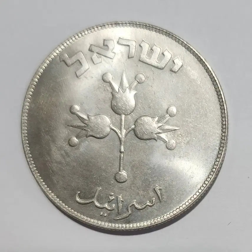 [BUNJANG] Israel Limited Edition Silver Coin K70 / [은화] 이스라엘 한정판 은화 K70