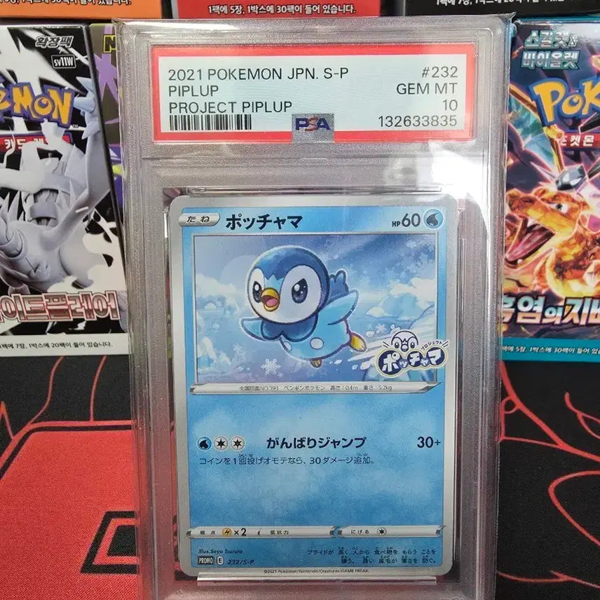 [BUNJANG] Pokemon Card 2021 Project Torchic PSA 10 / 포켓몬 카드 2021 프로젝트 팽도리 PSA10