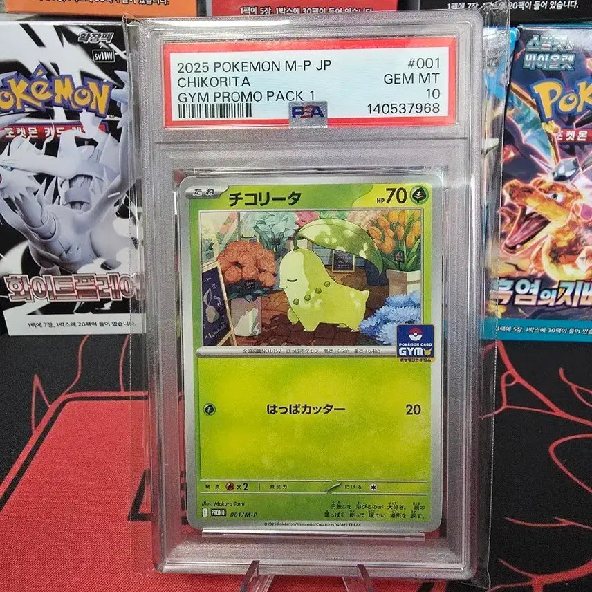 [BUNJANG] Pokemon Chikorita Promo Card (Japanese, PSA 10 Graded) / 포켓몬카드 일판 치코리타 프로모카드  PSA10 카드