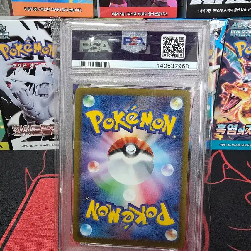[BUNJANG] Pokemon Chikorita Promo Card (Japanese, PSA 10 Graded) / 포켓몬카드 일판 치코리타 프로모카드  PSA10 카드