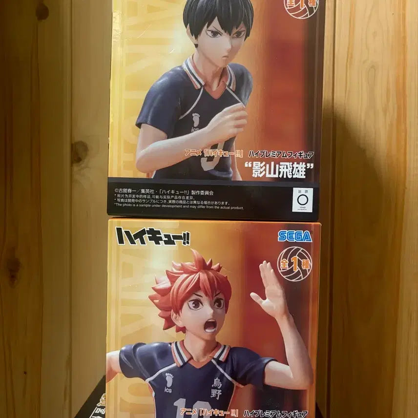 [BUNJANG] Haikyuu!! Hinata Shoyo &amp; Kageyama Tobio Figure Set / 하이 프리미엄 히나타 쇼요 카게야마 토비오 세트