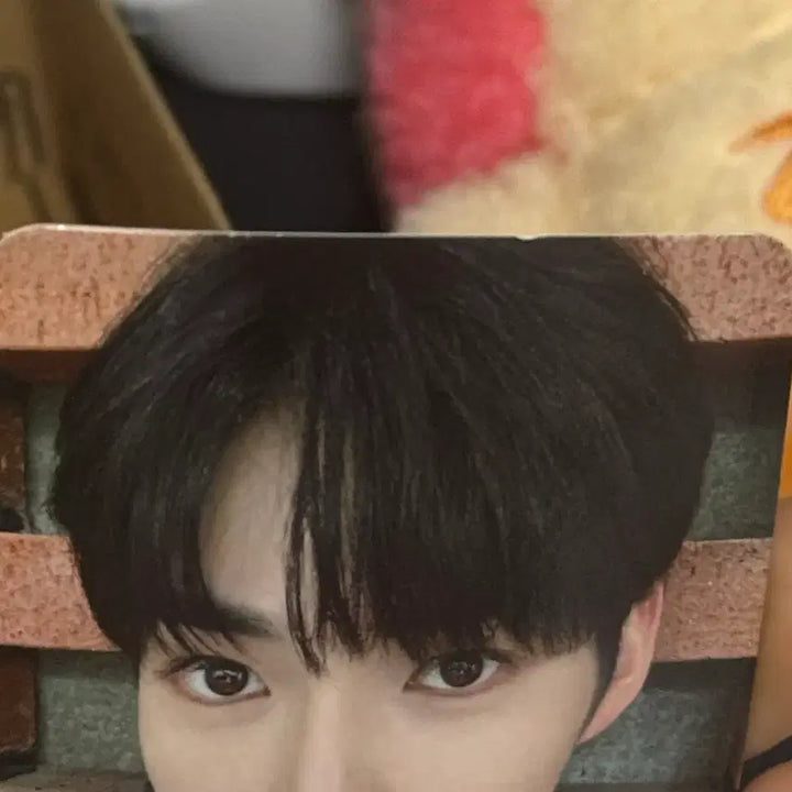 [BUNJANG] ZB1 ZERONY BININI 1st Gen Photocard / 제베원 제로니 비니니 1기 판매
