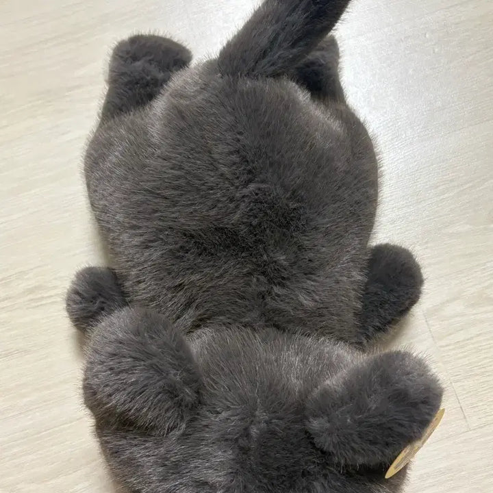[BUNJANG] Liar Cats Russian Blue Cat Plush - 40cm, New / 라이어캣츠 러시안블루 고양이 중형인형 40cm 새상품