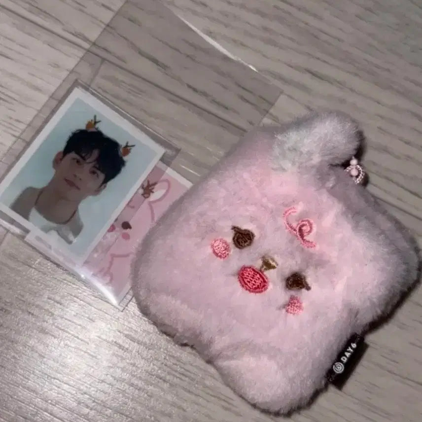 [BUNJANG] DAY6 Wonpil Petit Murz ID Photocard Holder / 원필 쁘띠멀즈 ID 포토홀더