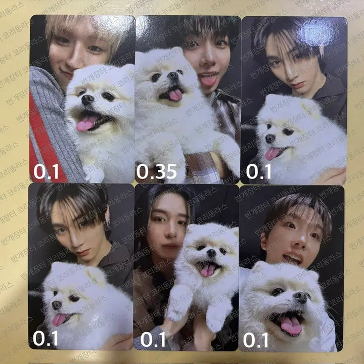 [BUNJANG] BOYNEXTDOOR Photocard / 보이넥스트도어 포토카드 판매합니다