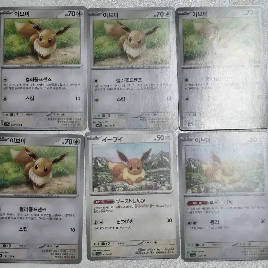 [BUNJANG] Eeveelutions Set Pokemon Cards / 포켓몬 카드 - 이브이즈 모음