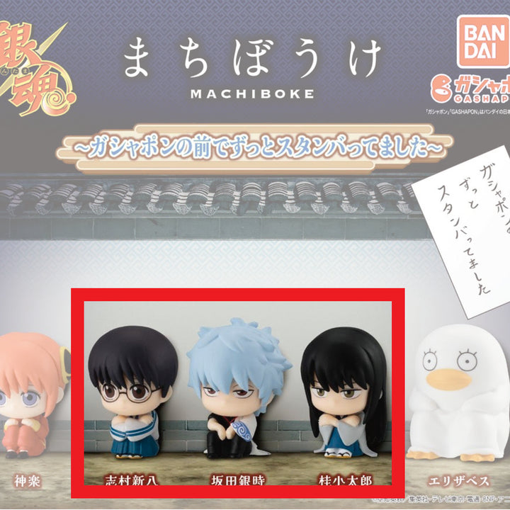 [BUNJANG] Gintama MachiBouke Set Sakata Gintoki/Shimura Shinpachi/Katsura Kotaro / 은혼 마치보우케 3종 사카타 킨토키/시무라 신파치/즈라