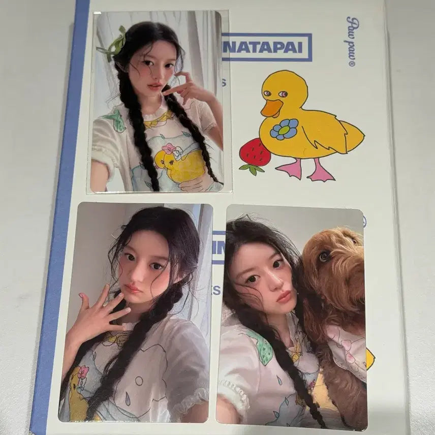 [BUNJANG] ILLIT Paw Paw Lucky Draw Minju Photocard Set / 아일릿 pawpaw 뮤직플랜트 럭키드로우 포카 세트 민주