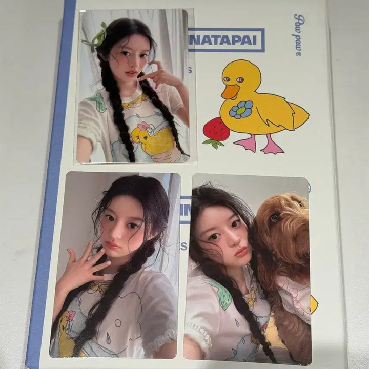 [BUNJANG] ILLIT Paw Paw Lucky Draw Minju Photocard Set / 아일릿 pawpaw 뮤직플랜트 럭키드로우 포카 세트 민주
