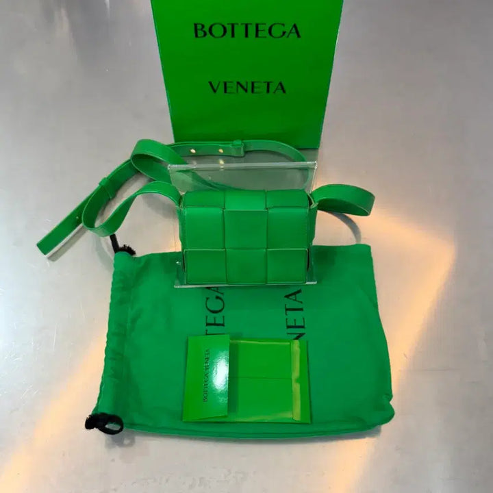 [BUNJANG] Bottega Veneta Parrot Mini Leather Cassette Bag / [리오브] 보테가베네타 패러킷 미니 레더 카세트백