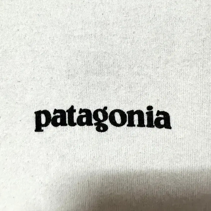 [BUNJANG] Patagonia Big Logo T-Shirt Oversized Light Grey XL / [XL,105]파타고니아 빅로고 반팔티 오버핏 라이트그레이