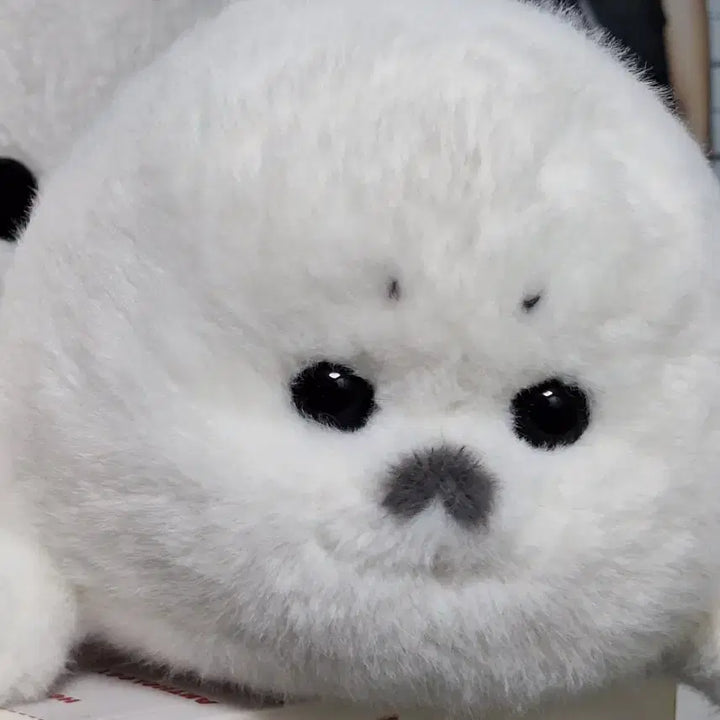 [BUNJANG] Handmade Seal Mascot Plush 25cm / 25cm 수제 물범 마스코트 인형