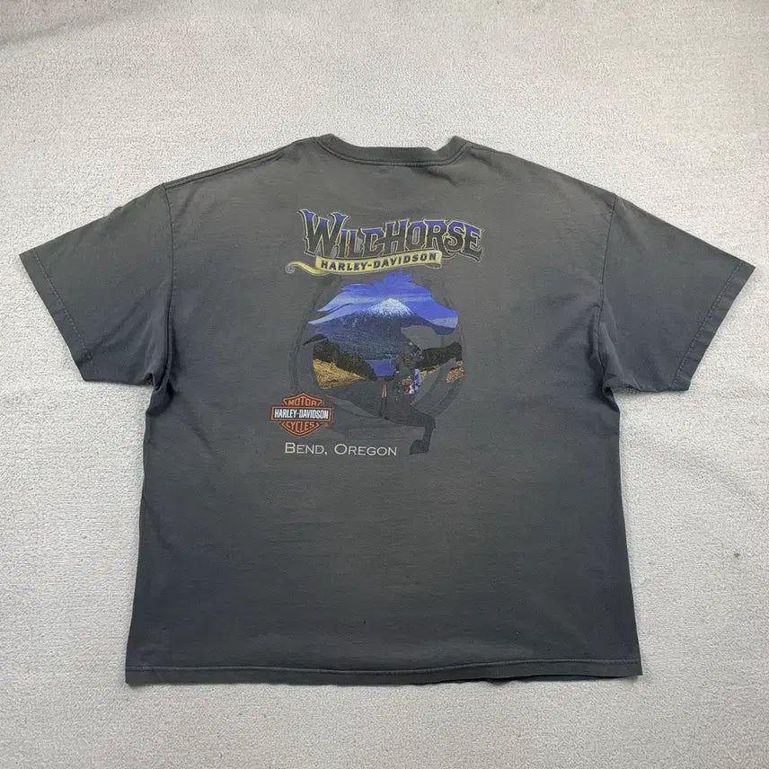 [BUNJANG] Vintage Harley-Davidson Graphic T-Shirt / 빈티지 할리 데이비슨 그래픽 반팔 티셔츠