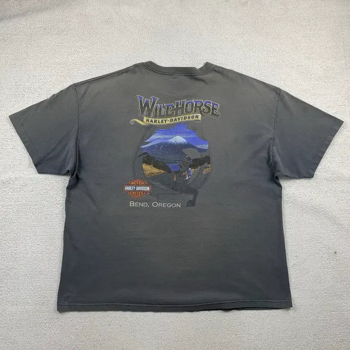 [BUNJANG] Vintage Harley-Davidson Graphic T-Shirt / 빈티지 할리 데이비슨 그래픽 반팔 티셔츠