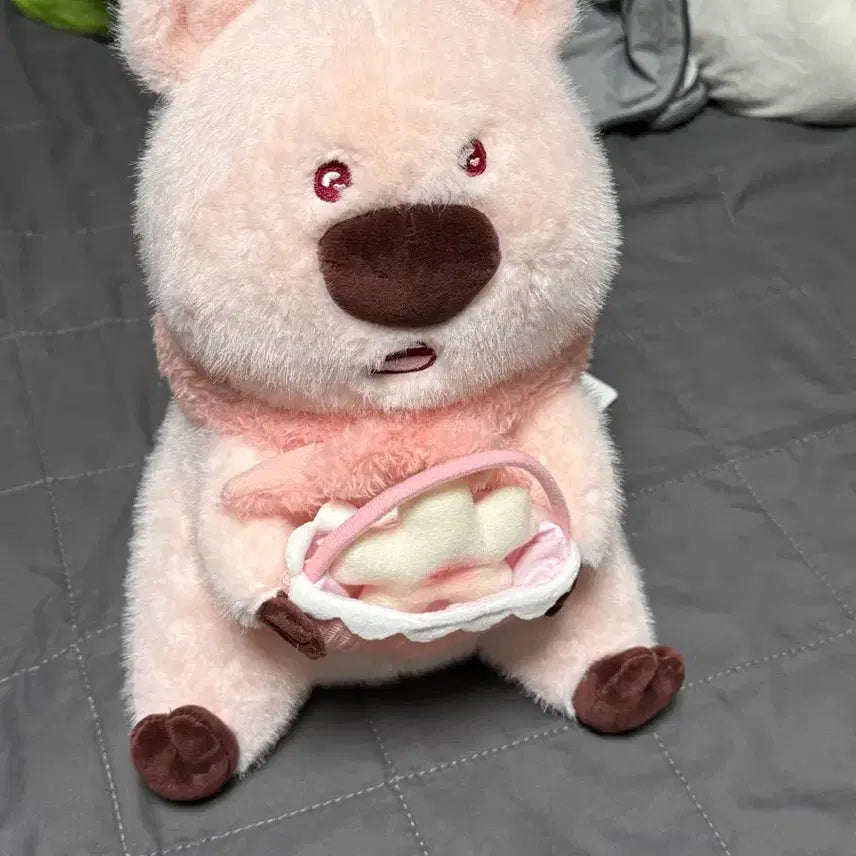 [BUNJANG] Quokka Plush Doll / 코커짱 코커 인형 쿼카인형
