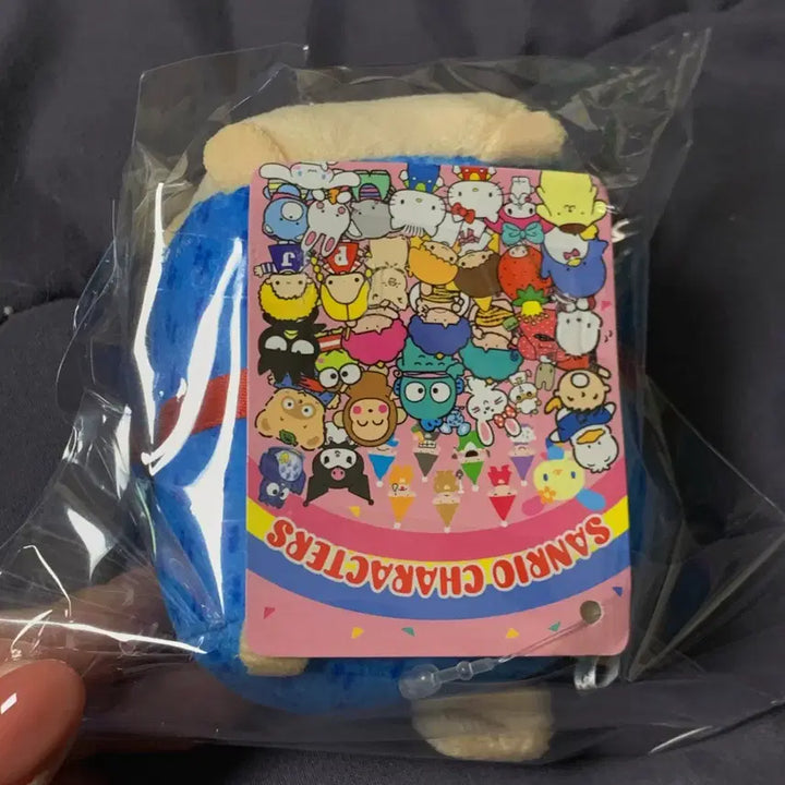 [BUNJANG] Sanrio Pocopon Vintage Doll / 일본 고전 빈티지 산리오 포코폰 인형